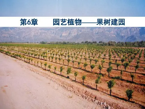 第6章-园艺植物-果树建园华中农业大学园艺概论讲义_2022年学习资料