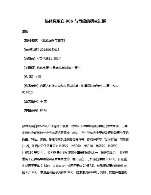 热休克蛋白90α 与胃癌的研究进展
