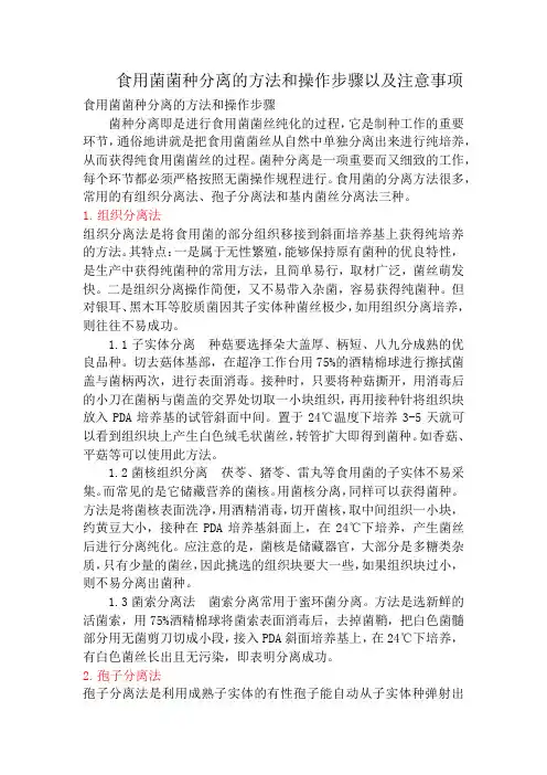 食用菌菌种分离的方法和操作步骤以及注意事项