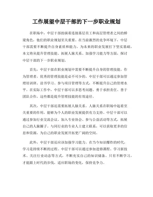 工作展望中层干部的下一步职业规划