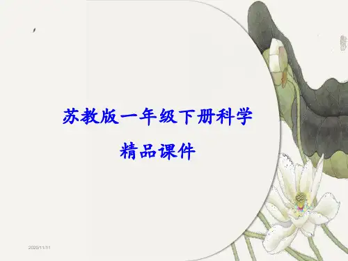 苏教版小学一年级下册科学全册课件(精心整理汇编)