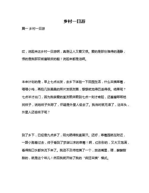 作文《乡村一日游》