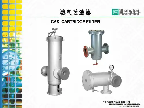 标准过滤器ppt课件
