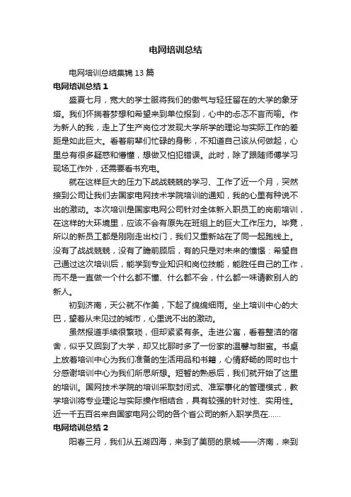 电网培训总结