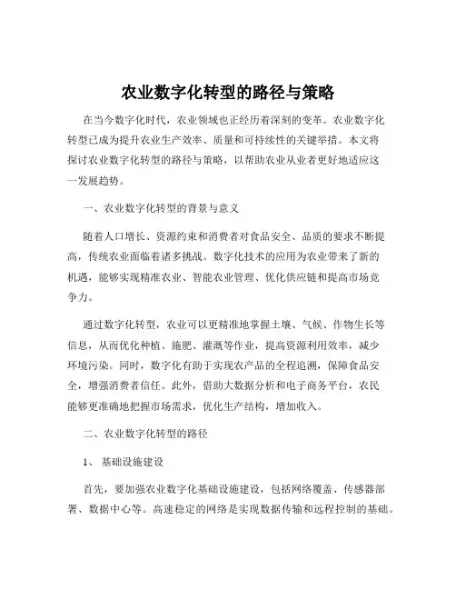 农业数字化转型的路径与策略