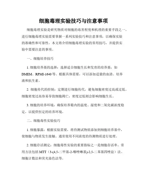 细胞毒理实验技巧与注意事项