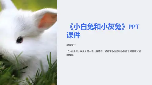 《小白兔和小灰兔》课件