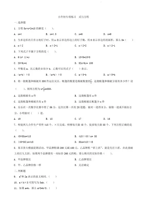小升初专项练习   式与方程   专项训练