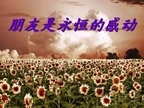 《朋友的重要性》PPT课件