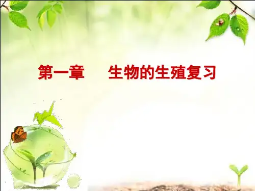 冀教版八年级下册复习资料  第一章复习
