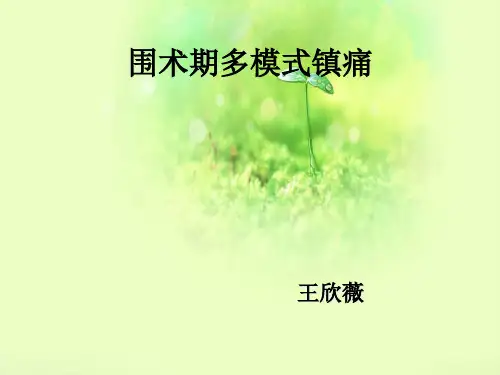 多模式镇痛PPT课件
