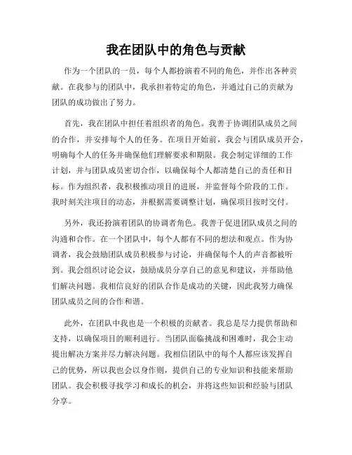 我在团队中的角色与贡献