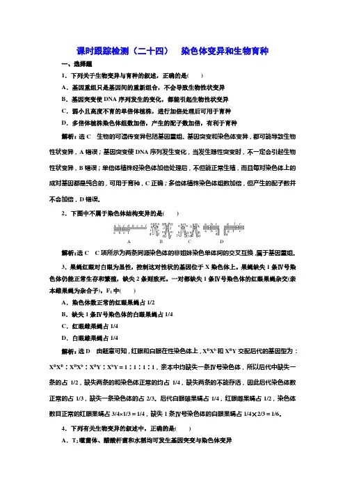 高三新高考生物人教版一轮课时检测(二十四)染色体变异和生物育种