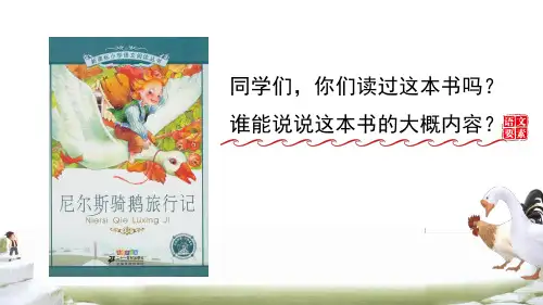 部编版六年级语文下册《骑鹅旅行记(节选)》精美课件
