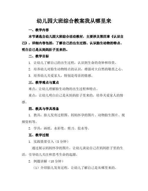 幼儿园大班综合教案我从哪里来