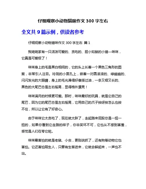 仔细观察小动物猫咪作文300字左右