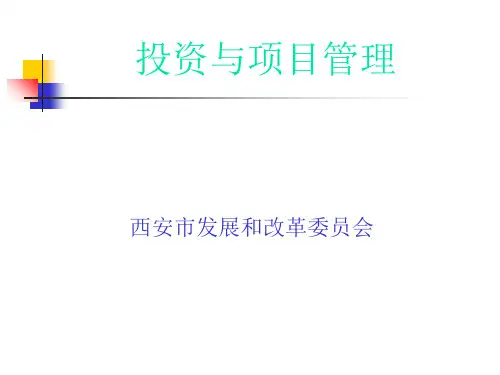 投资与项目管理课件(PPT 46张)
