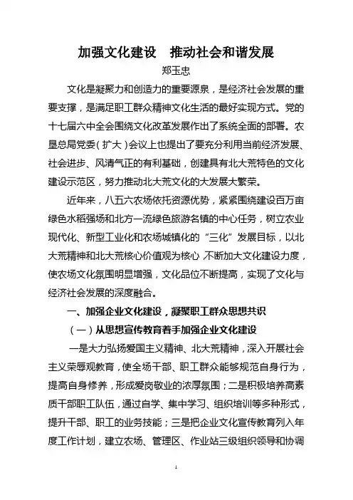 加强文化建设  推动社会和谐发展
