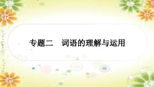 2024年中考语文课件：(四川专用)专题二 词语的理解与运用
