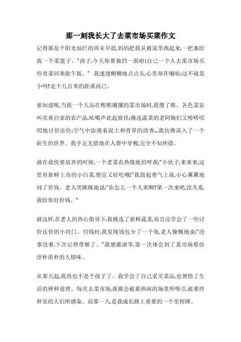 那一刻我长大了去菜市场买菜作文