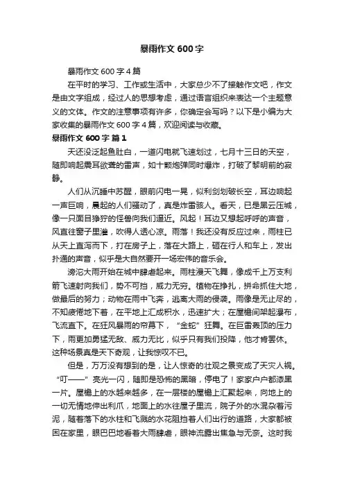 暴雨作文600字4篇