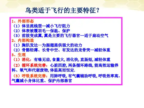 八年级生物上册 第一单元第二节陆地生活的动物课件 人教新课标版