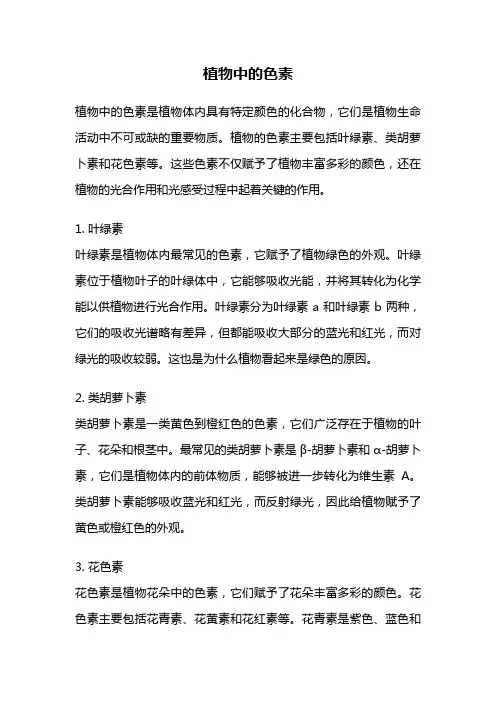 植物中的色素