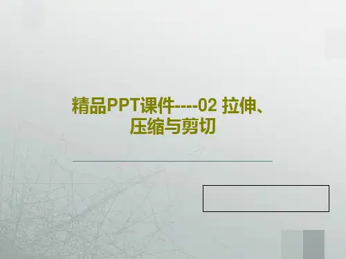 精品PPT课件----02 拉伸、压缩与剪切共111页