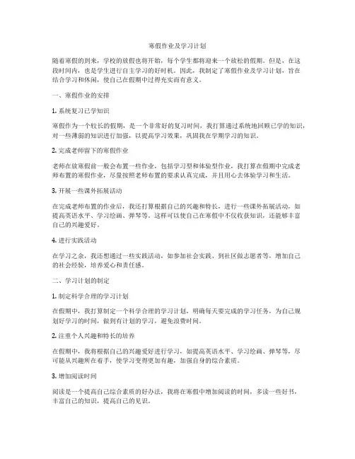 寒假作业及学习计划