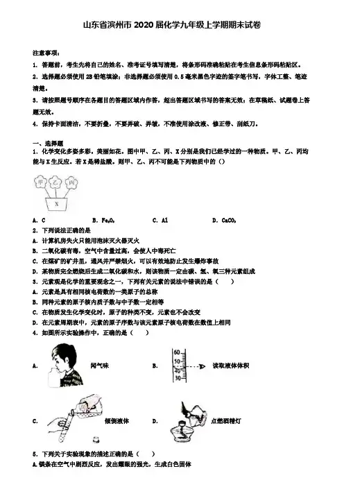 山东省滨州市2020届化学九年级上学期期末试卷