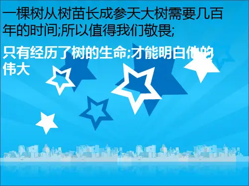 学生会主席竞选ppt