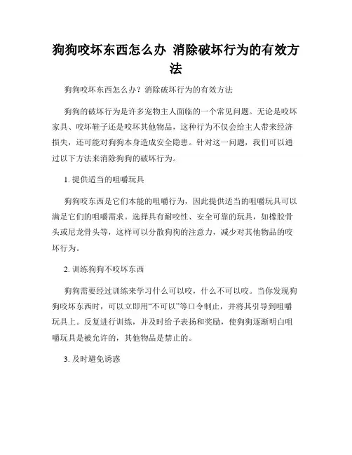 狗狗咬坏东西怎么办  消除破坏行为的有效方法