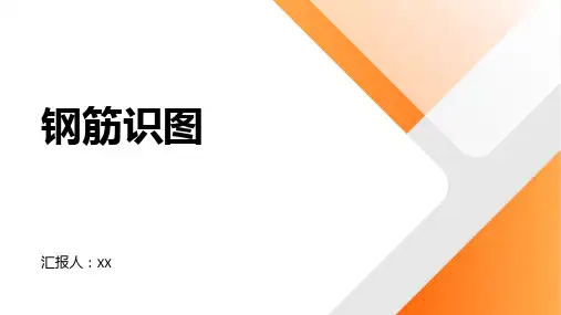 钢筋识图(手把手教你)