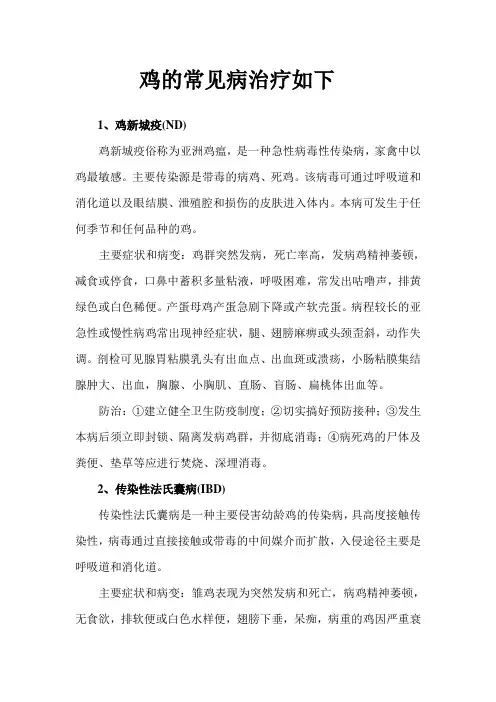 常见鸡病的症状及防治