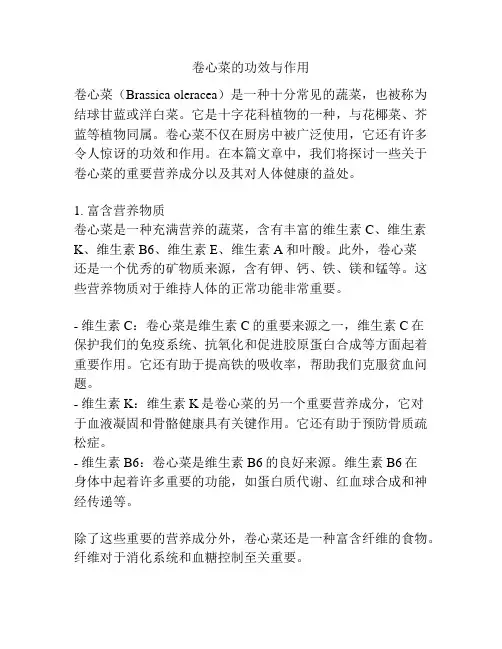卷心菜的功效与作用