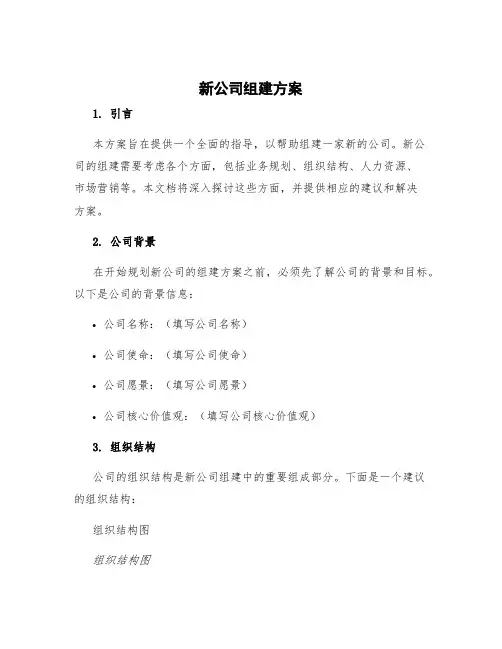 新公司组建方案