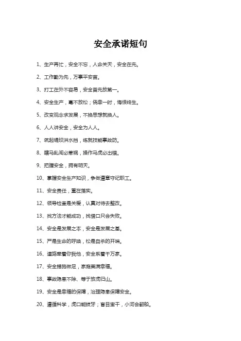 安全承诺短句