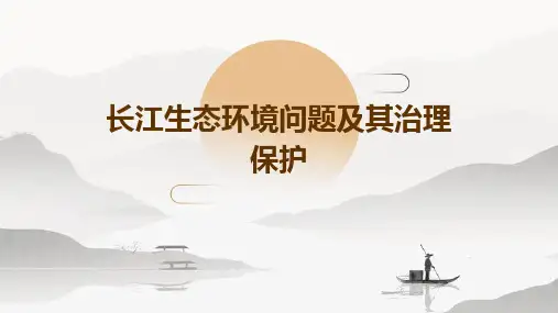 长江生态环境问题及其治理保护