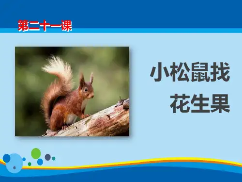 《小松鼠找花生果》PPT【精选推荐课件】