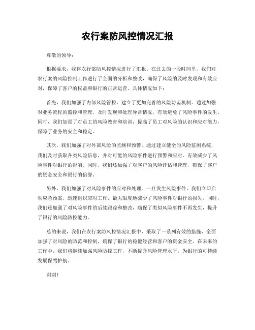 农行案防风控情况汇报