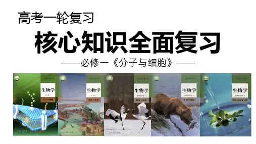 第09讲酶-备战2023年高考生物一轮复习考点帮