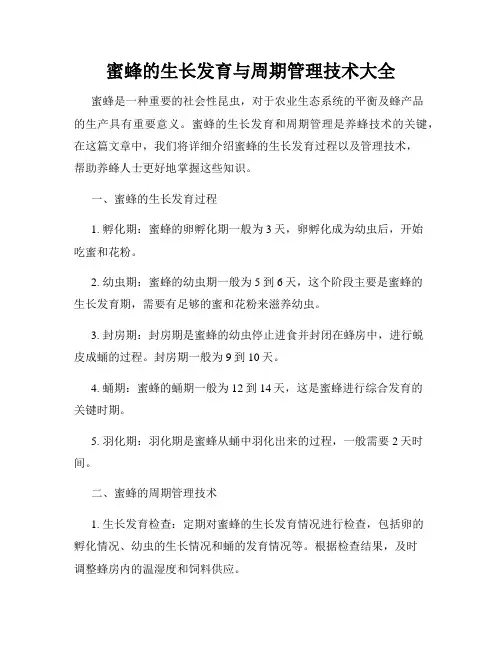蜜蜂的生长发育与周期管理技术大全