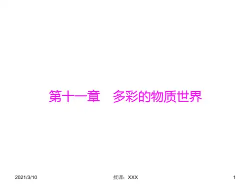 中考物理复习多彩的物质世界PPT参考