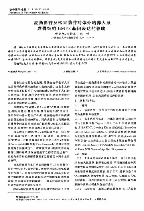 麦角甾苷及松果菊苷对体外培养大鼠成骨细胞BMP2基因表达的影响