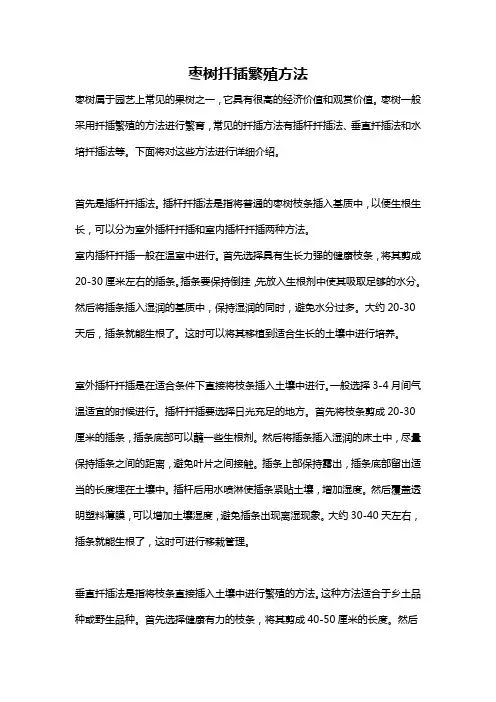 枣树扦插繁殖方法