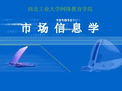 《市场信息学》PPT课件