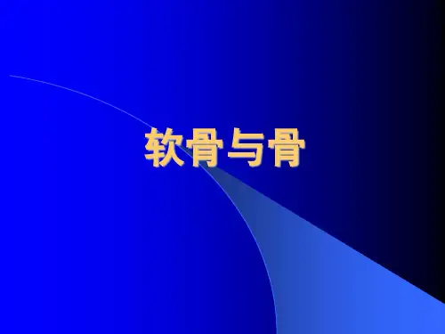 组织与胚胎学PPT课件 软骨与骨1
