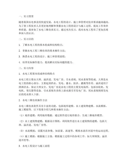 水电三维仿真实习报告