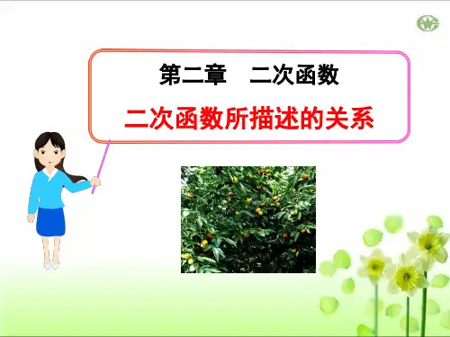 北师大版九年级数学下册ppt课件：3二次函数所描述的关系