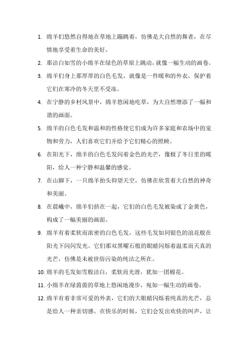 描写绵羊的优美句子 (3)